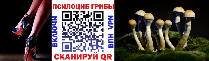 Псилоцибиновые грибы Cubensis  Уварово 